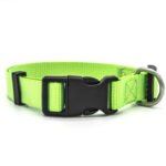 New Pet Collar - Image 4