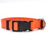 New Pet Collar - Image 5