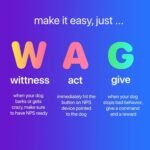 2026 New Dog Trainer - Image 4