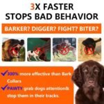 2026 New Dog Trainer - Image 5