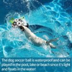 Interactive Dog Soccer Ball – Durable Training Toy for Large Dogs - Image 9
